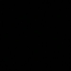 Meet your Posher, Zoe